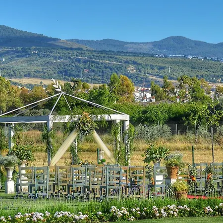 Villa Cortijo El Maizal Granada