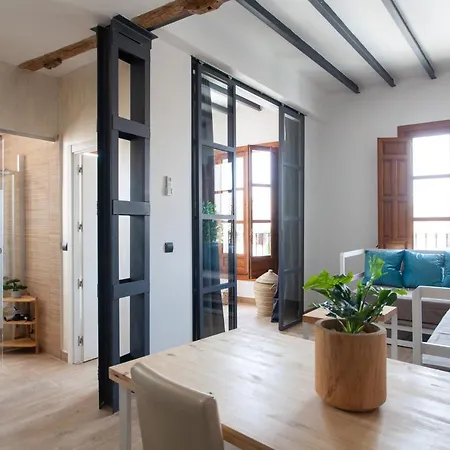 Apartamento El Sueño De Elvira *