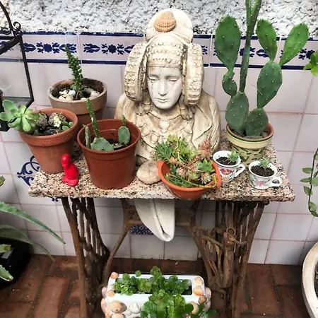 Séjour chez l'habitant Alhambra En El Sacromonte Grenade