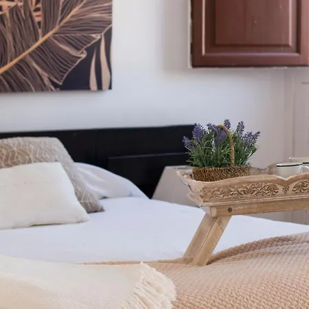 Plaza Ayuntamiento Habitame Inmobiliaria Apartamento Granada