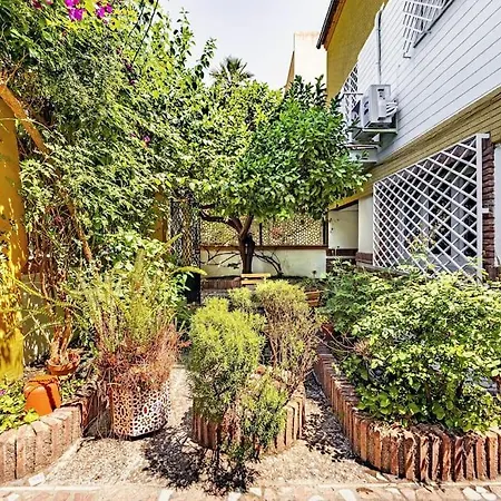 Casa Limonero Con Parking Gratis Junto A Centro Historico Casa vacanze Granada