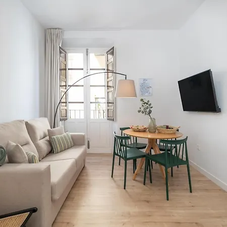Apartamento Palacio Dorobe *
