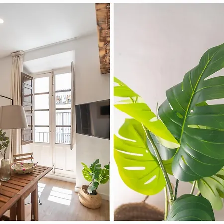 Palacio Dorobe Apartamento *