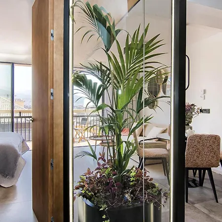 Luxury Alhambra Penthouse Collection Appartement