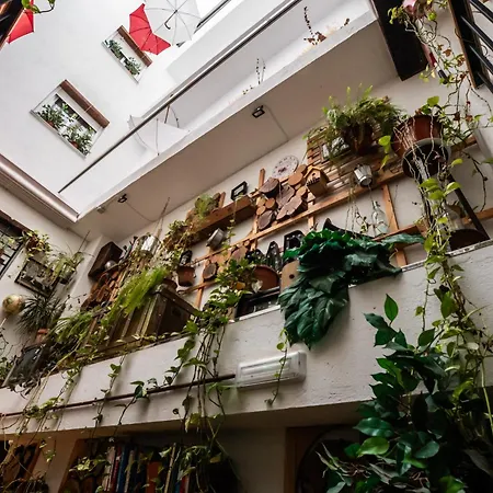 Gasthuis Rooms Vita