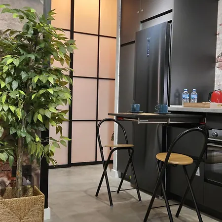 Loft Carmenes * Granada