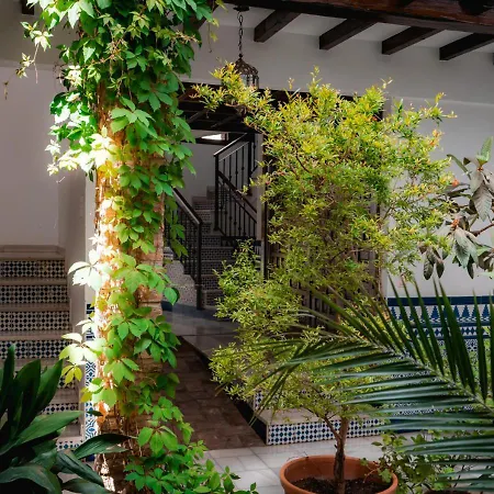 Apartamento Turistico En El Albaicin Qh Caldereria Vieja Appartement Grenade