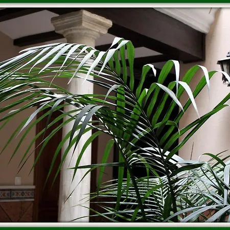 Apartamento Apn Peregrinos Granada