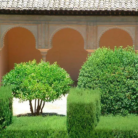 Center