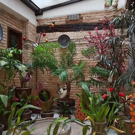 Alfin Vendégház Granada