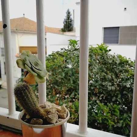 Ca' Vaschino Apartamento