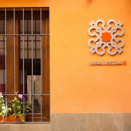 Caballerizas Con Parking Gratuito En Pleno Centro Apartmán *