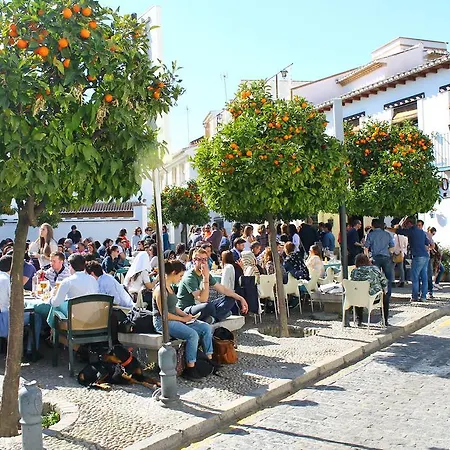 El Balcón Del Albaicín Apartamento