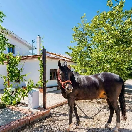 Cortijo Rica Santa Cruz Del Comercio By Ruralidays