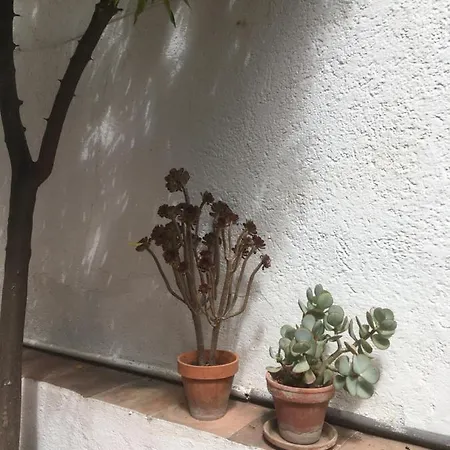 La Casita Del Corralon 2* Granada