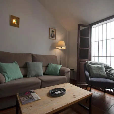 Mirador Alhambra - 2 Private Terraces - Wifi - Apartamento