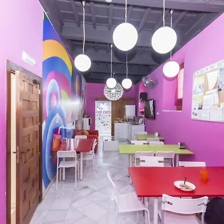 Hostal White Nest *