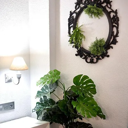 My Garden - Mimosa Studio * Granada