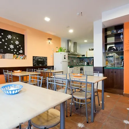 Hostel Oasis Backpackers' *