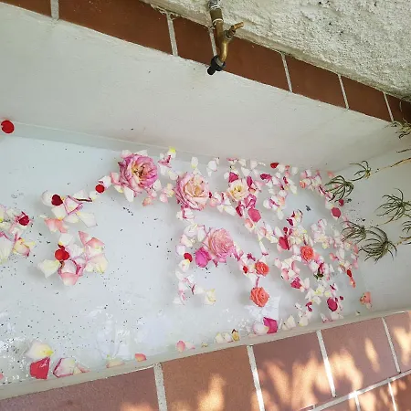 Casa Bambu