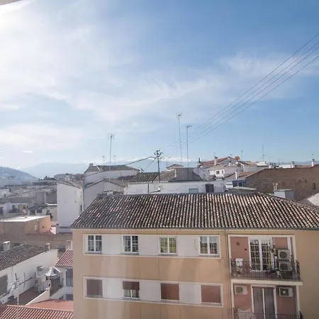 En Zona Centro De Appartement