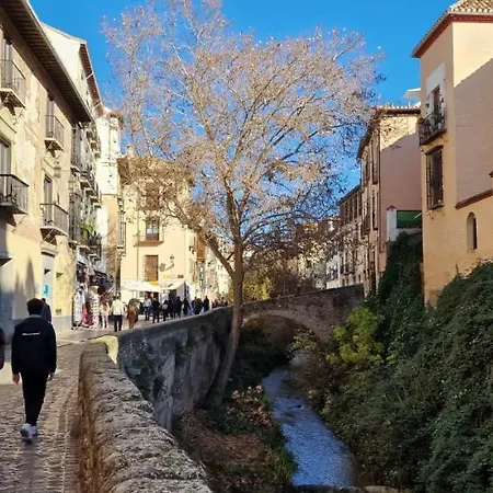 Patrimonio Arabe Vista A La Alhambra * Grenade