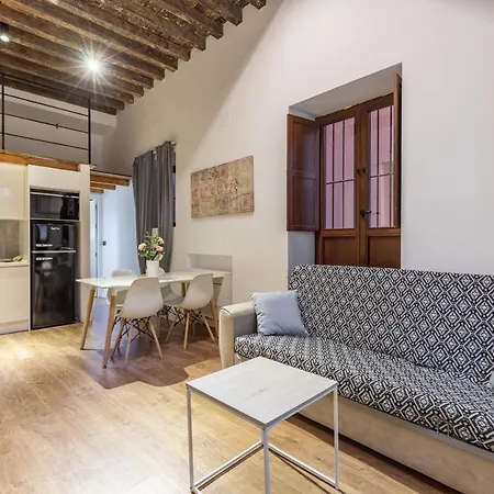 Apartamento Deluxe 3000 Granada