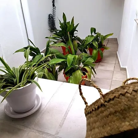 Apartamento Alberzana - Barrio Albaicin -