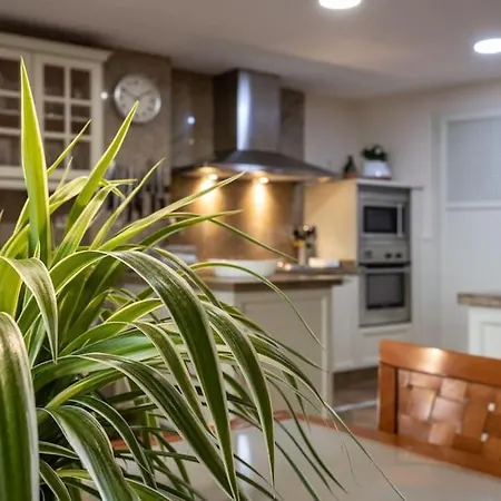 Centrico Y Espacioso. Parking Gratuito. Apartamento