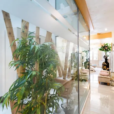 Luxury Apartment Granada