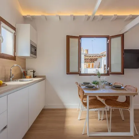Atico Cl Centro Apartamento Granada