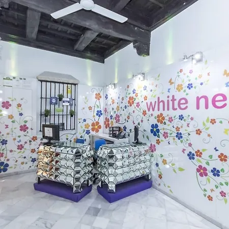 Hostal White Nest *