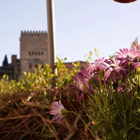 Oasis Granada