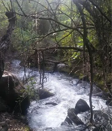 Cortijo La Mata 格拉纳达