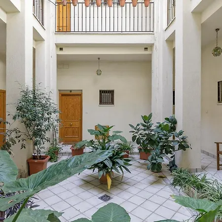 Apartment Elvira Love Centro