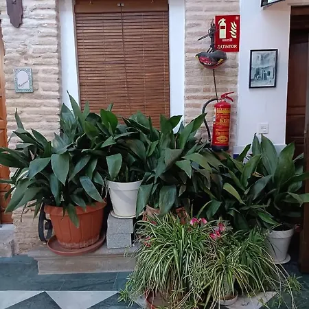 Patio De Leones