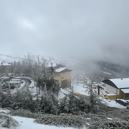 Biznaga Nevada *