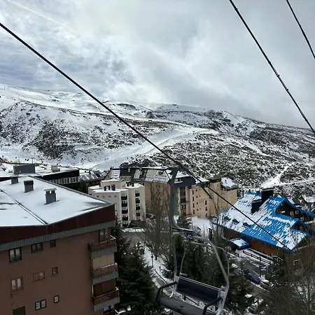 Biznaga Nevada