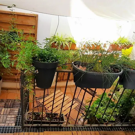 Casa Honda10 格拉纳达