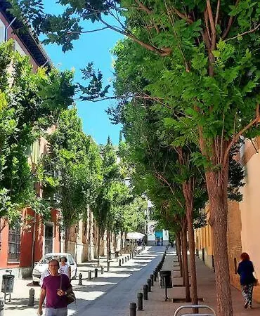 Casa Honda10 *