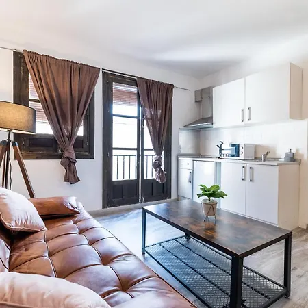 Apartamento Reyes Albaicin Granada