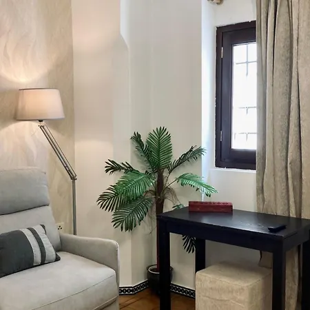 Apartamento Adanar-apartamentos Muralla Ziri Granada