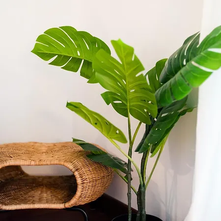 Con Encanto, Centro Apartment *