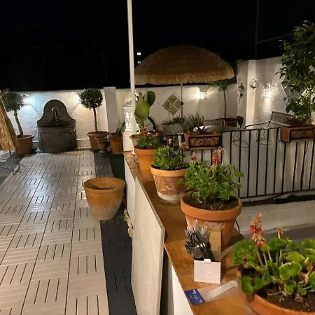 Atico Olivos *