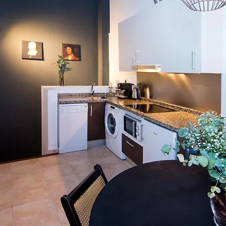 Apn Duplex Elvira Apartment Granada