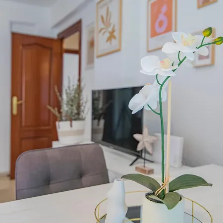 Delfin Retreat Con Terraza Junto A Parada De Metro Apartamento *