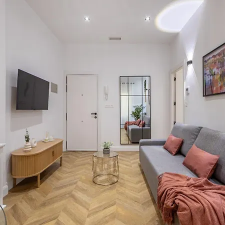 Elvira Elegant Gran Via-catedral Apartment