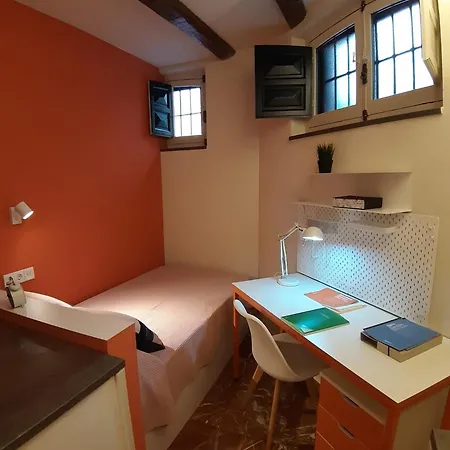Loop Homes Palace * Granada
