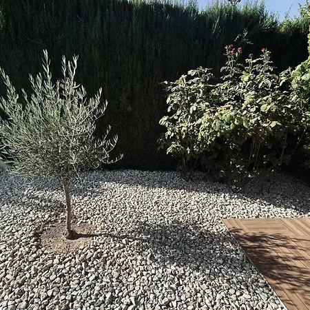 Extraordinaria Con Piscina Y Chimenea Granada