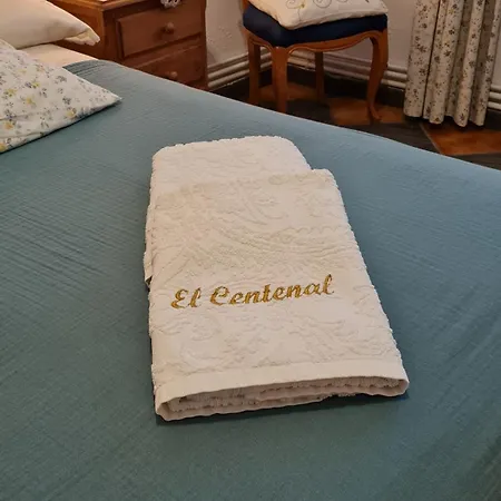 Holiday home El Centenal *